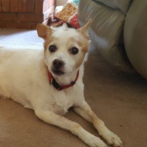 Meet your Posher, Deborah